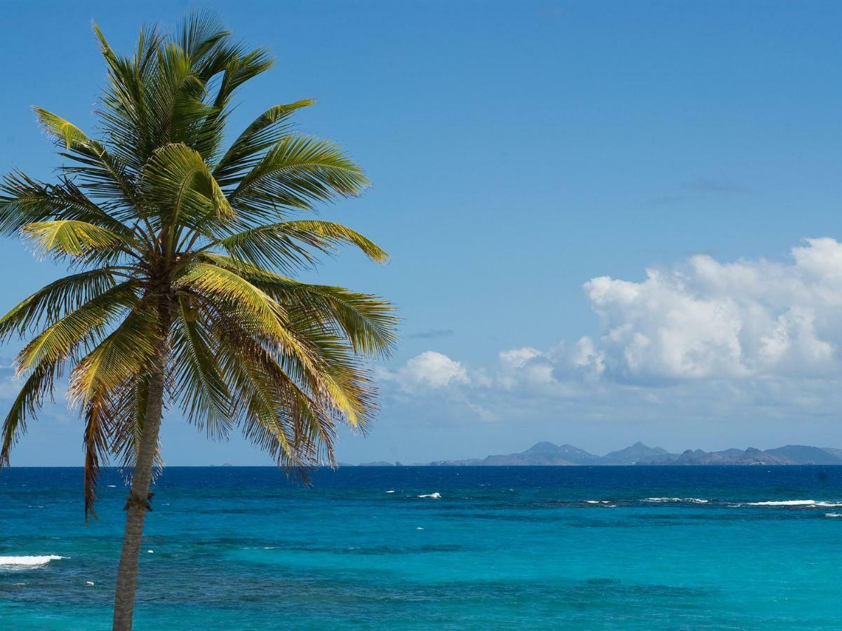 Coral Beach Club Villas & Marina Sint Maarten 외부 사진